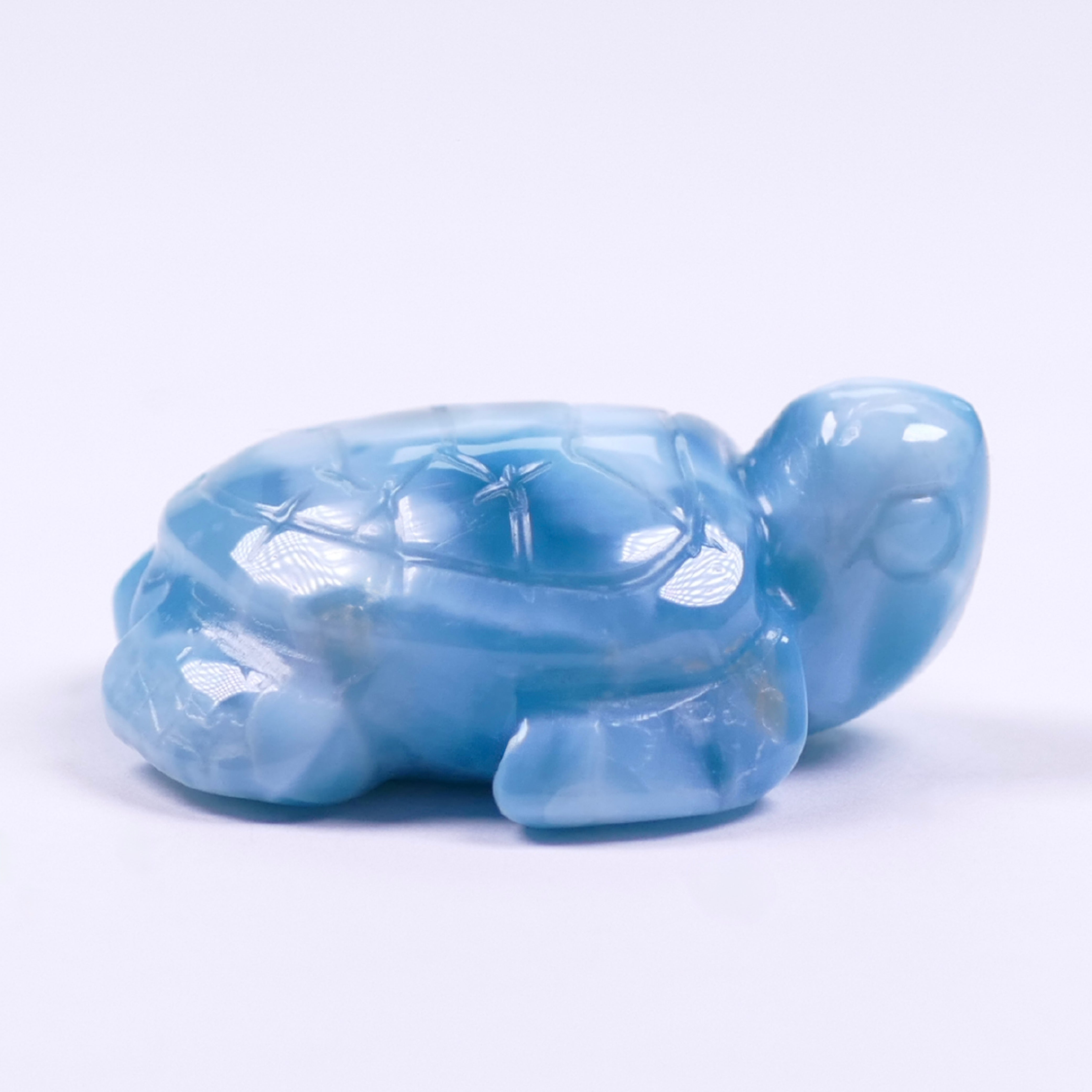 Larimar Schildkröte